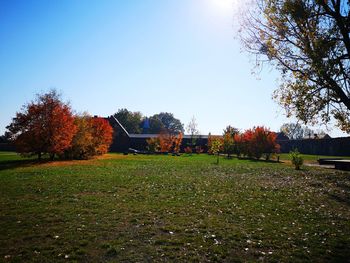 Trees on field against clear sky during autumn