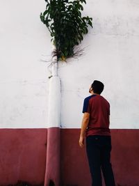 Rear view of man looking at plant growing on wall