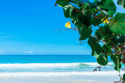Scenic view of sea against blue sky