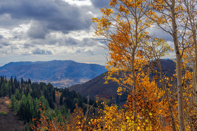 Scenic view of tree mountains against sky during autumn