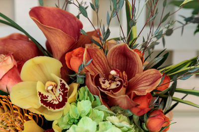 Close-up of flowers blooming outdoors