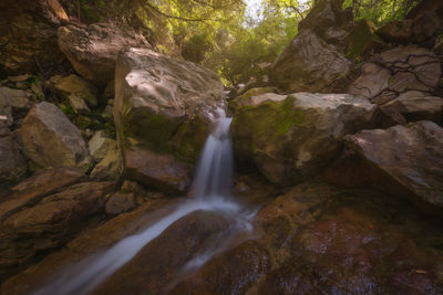 Scenic view of waterfall in forest