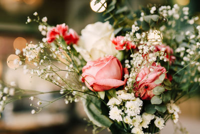 Close-up of white roses