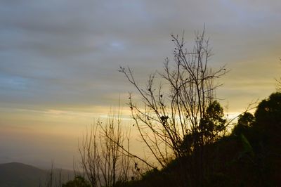 Silhouette bare trees against sky during sunset