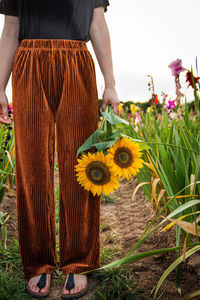 Midsection of person holding yellow flowering plants on field