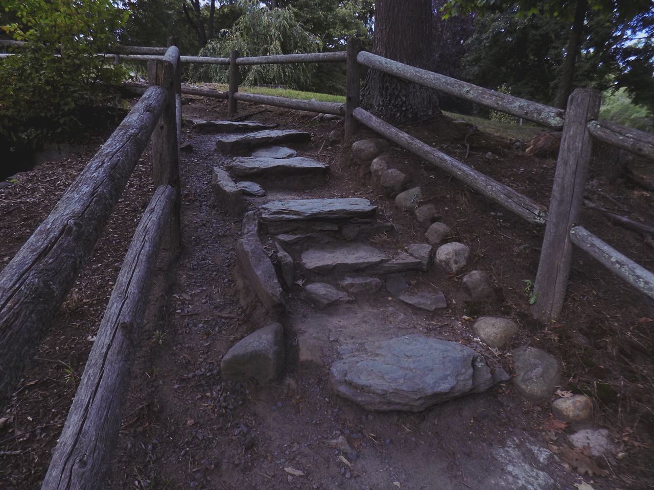 FOOTBRIDGE ON FOREST