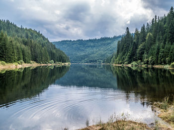 Scenic view of lake by trees against sky