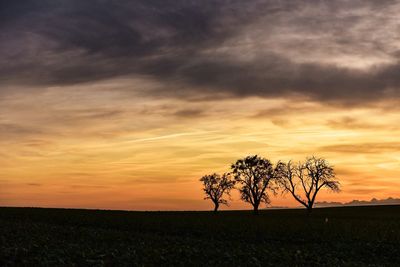 Silhouette tree on field against dramatic sky