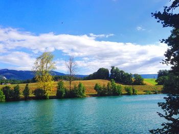 Scenic view of river in forest against blue sky