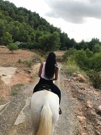 Horse on field against sky