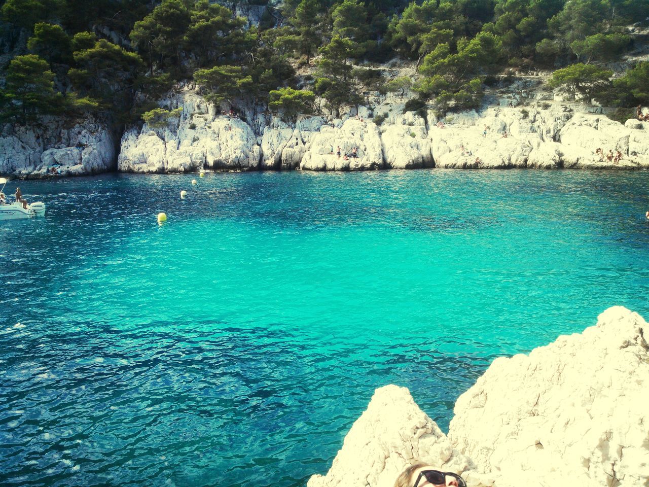 water, blue, sea, beauty in nature, tranquility, turquoise colored, tranquil scene, scenics, nature, rock - object, rock formation, high angle view, rippled, cliff, tree, idyllic, rock, day, waterfront, outdoors