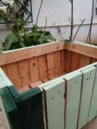 High angle view of potted plants on wooden wall