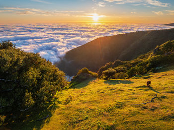High angle view of landscape against sky during sunset