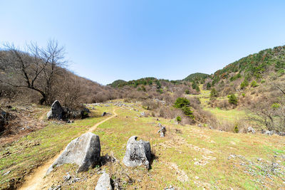 Scenic view of landscape against clear sky