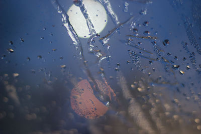 Close-up of glass in water