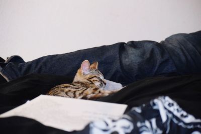 Low section of man relaxing on blanket