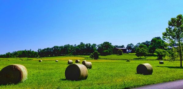 Hay bales on field against clear blue sky