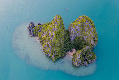 Aerial view of island in sea