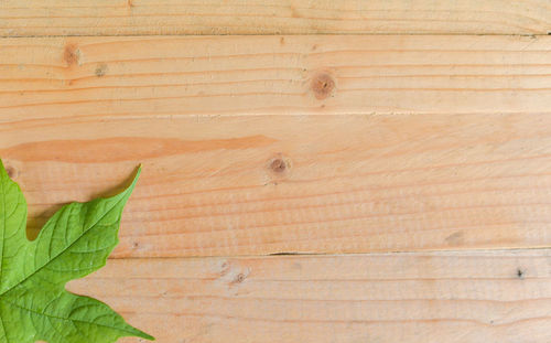 Full frame shot of wooden wall