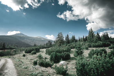 Panoramic view of landscape against sky