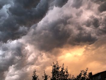 Low angle view of trees against cloudy sky