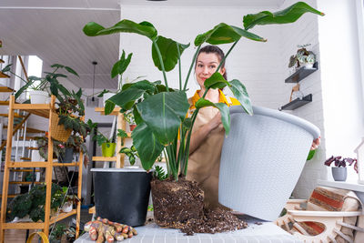 Close-up of potted plant on table