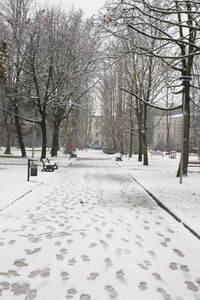 Snow covered bare trees in city