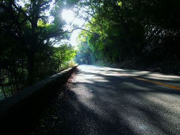 Road passing through trees