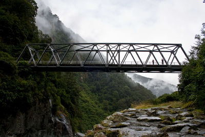 Metallic footbridge in forest during foggy weather