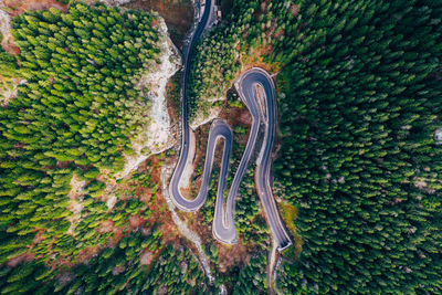 High angle view of road amidst trees in forest