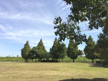 Scenic view of grassy field against cloudy sky