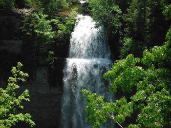 Scenic view of waterfall