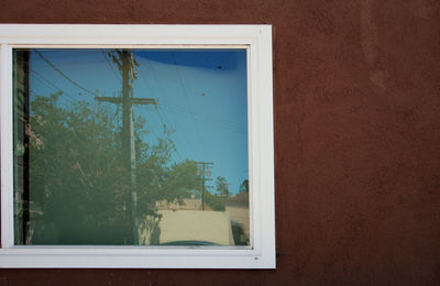 Close-up of window