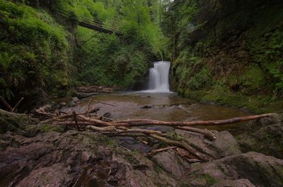 Scenic view of waterfall in forest