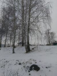 Bare trees on snow covered field against sky