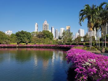 View of flowering plants in park against buildings