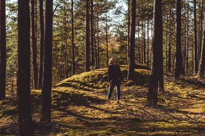 Full length of young woman standing amidst trees in forest