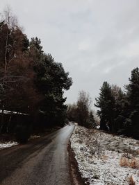 Road amidst trees against sky during winter