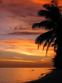 Silhouette palm tree at beach at sunset