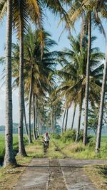 Rear view of man riding bicycle on footpath