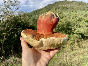 Close-up of hand holding bread