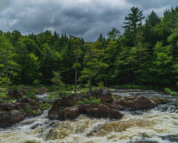 Scenic view of stream flowing through rocks in forest against sky