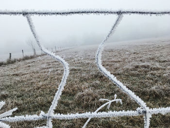 Scenic view of land during winter