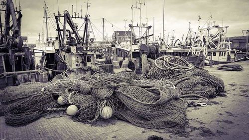 Boats in harbor