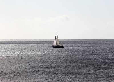 Sailboat sailing on sea against sky