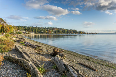 A view of the shoreline near the ferry terminal in west seattle, washington.