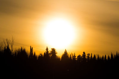 Silhouette trees in forest against sky during sunset