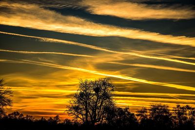 Silhouette trees against dramatic sky during sunset