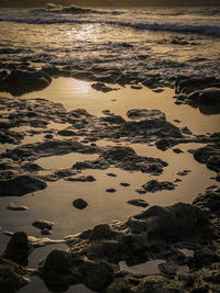 Aerial view of beach