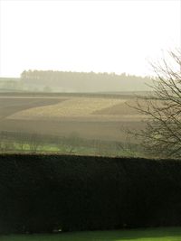 Scenic view of field against clear sky